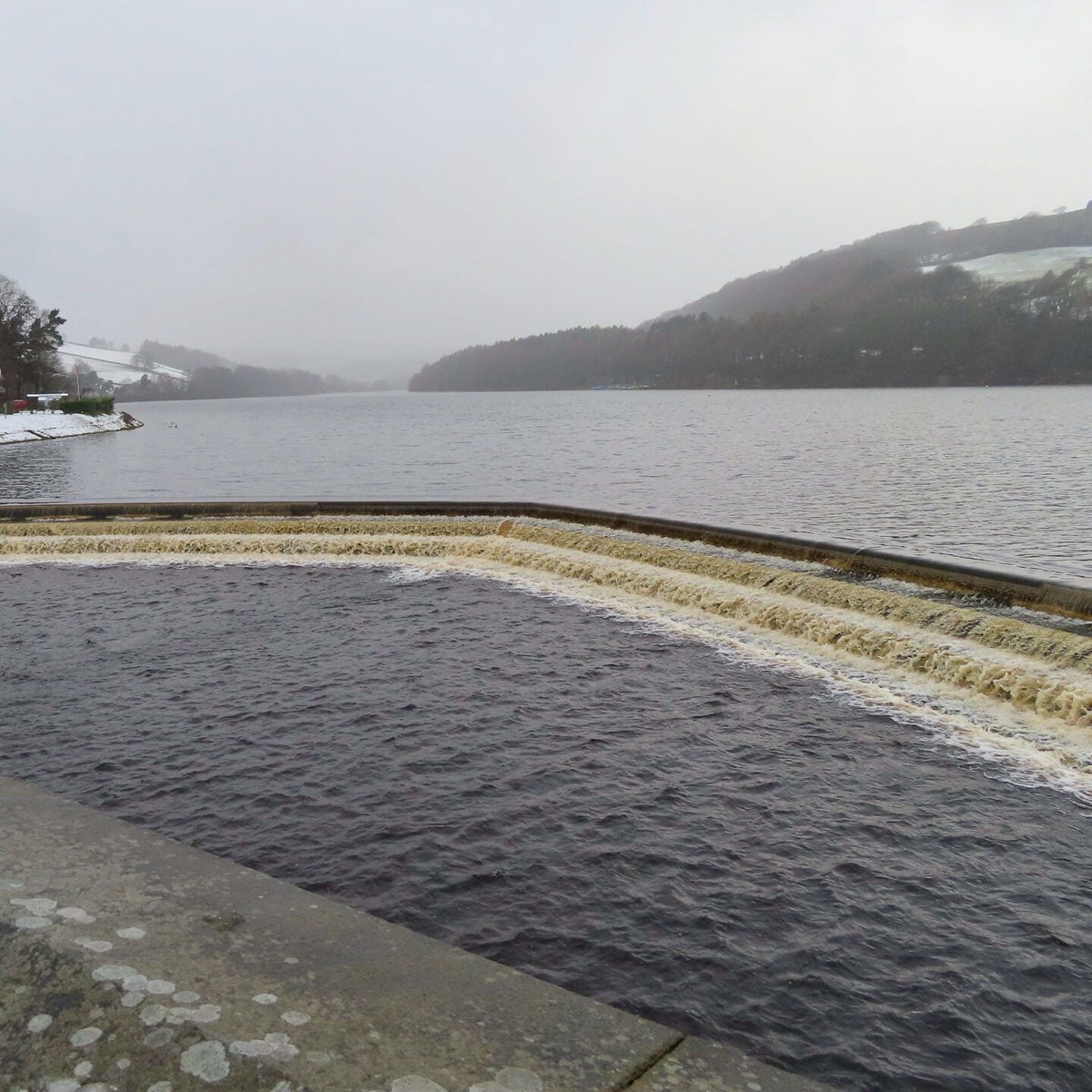 VanVenturesUK's tweet photo. 📍Damflask Reservoir
#walking #dogwalking #walkingaroundthecity #walkingforhealth #walkinginthecity #sheffield #sheffieldissuper #socialsheffield #madeinsheffield #sheffieldphotographer #sheffieldbloggers #visitsheffield #somewhereinsheffield https://t.co/nx1G4vNqnF