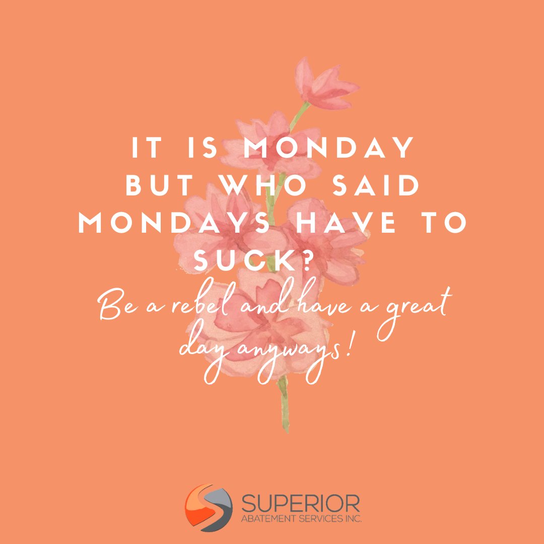 Happy Monday Everybody!