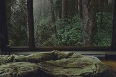 warnerbooksx's tweet photo. amo casas que tem uma vibe meio filmes de crepúsculo https://t.co/sx67TWdBP8