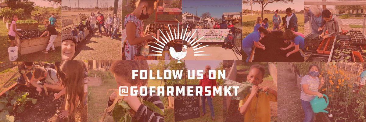 gofm_s's tweet photo. We moved! Follow the latest updates on GOFM's Young Gardeners Program at @GOFarmersMKT. https://t.co/d9eMvV4iRd
