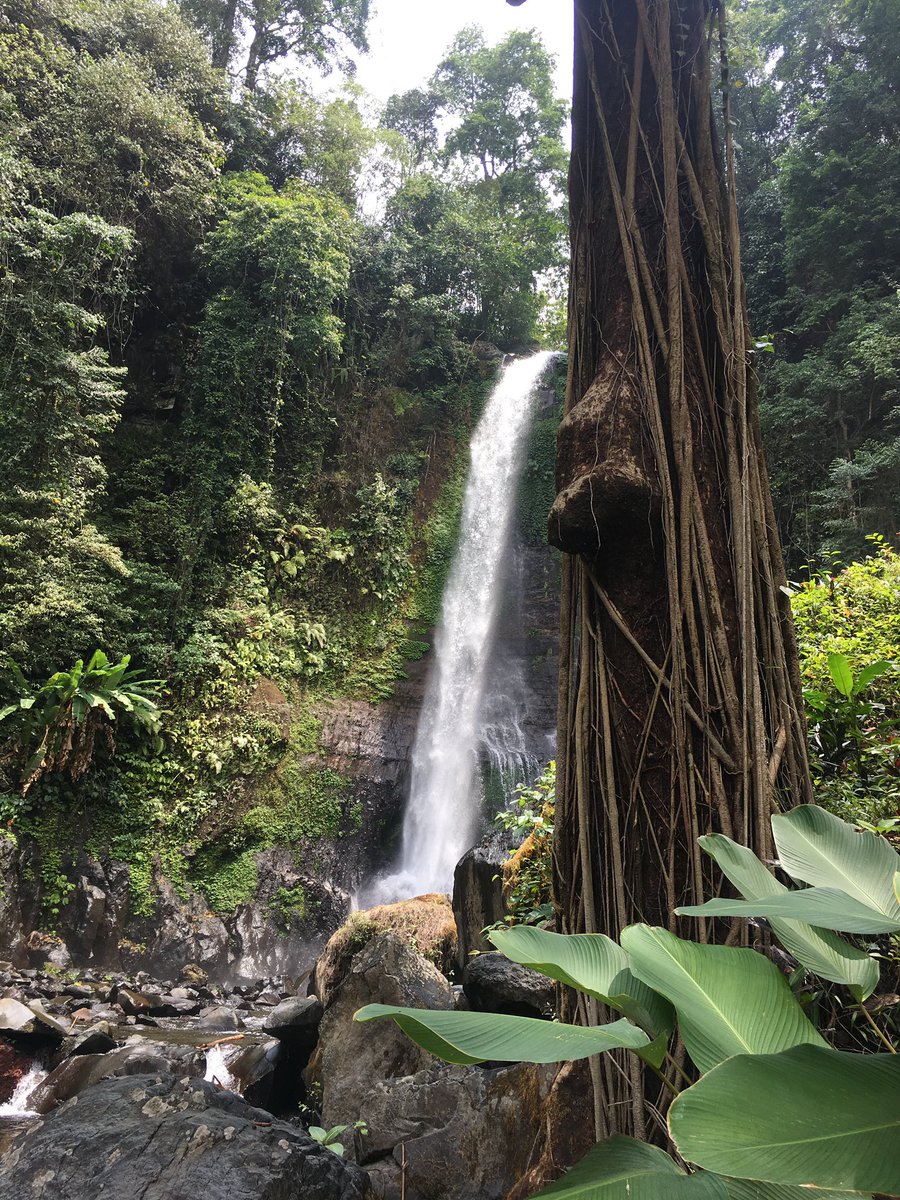 Alain27297154's tweet photo. @ThePhotoChallng #waterfallin Bali https://t.co/CkwWixUNOO