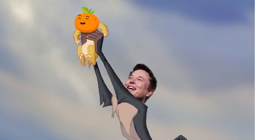 OrangeSwap 🍊 tweet media