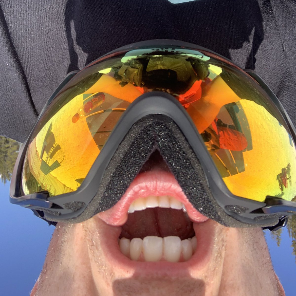 climate_chins's tweet photo. Hi everyone, Chincent here, just enjoying #nature! Ski resorts are important partners in #conservation, so I wanna give em my money. Plus, I can’t hurt my butt #snowboarding because I don’t have one. It’s a win-win (/chin-chin)!!! https://t.co/WDb306sTZy