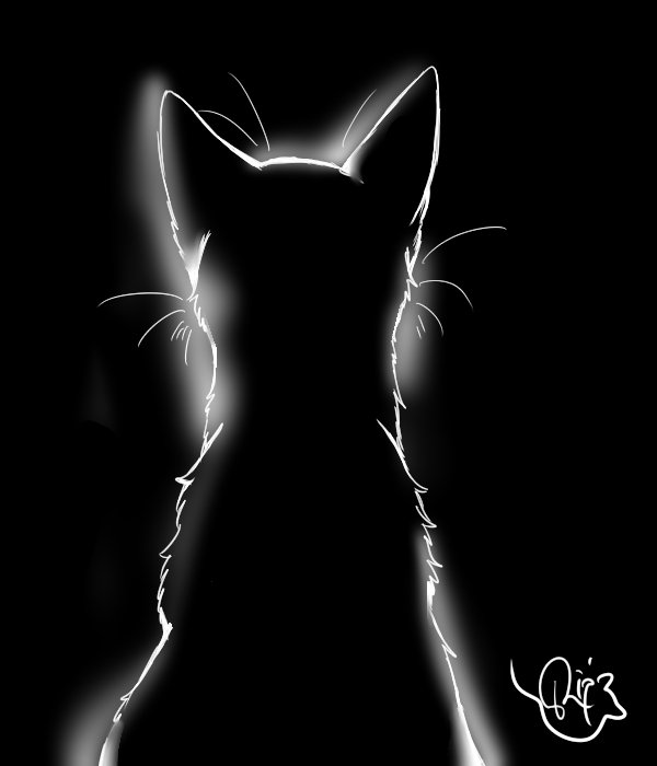黒猫 後ろ姿 10分クォリティです 光の入れ方が激ムズでした笑 イラスト イラストレーション イラストレーターさんと繋がりたい Vイラスト好き イラストレーター イラスト好きな人と繋がりたい By なめこ猫 指先で絵を描く女子高生 Edayfm