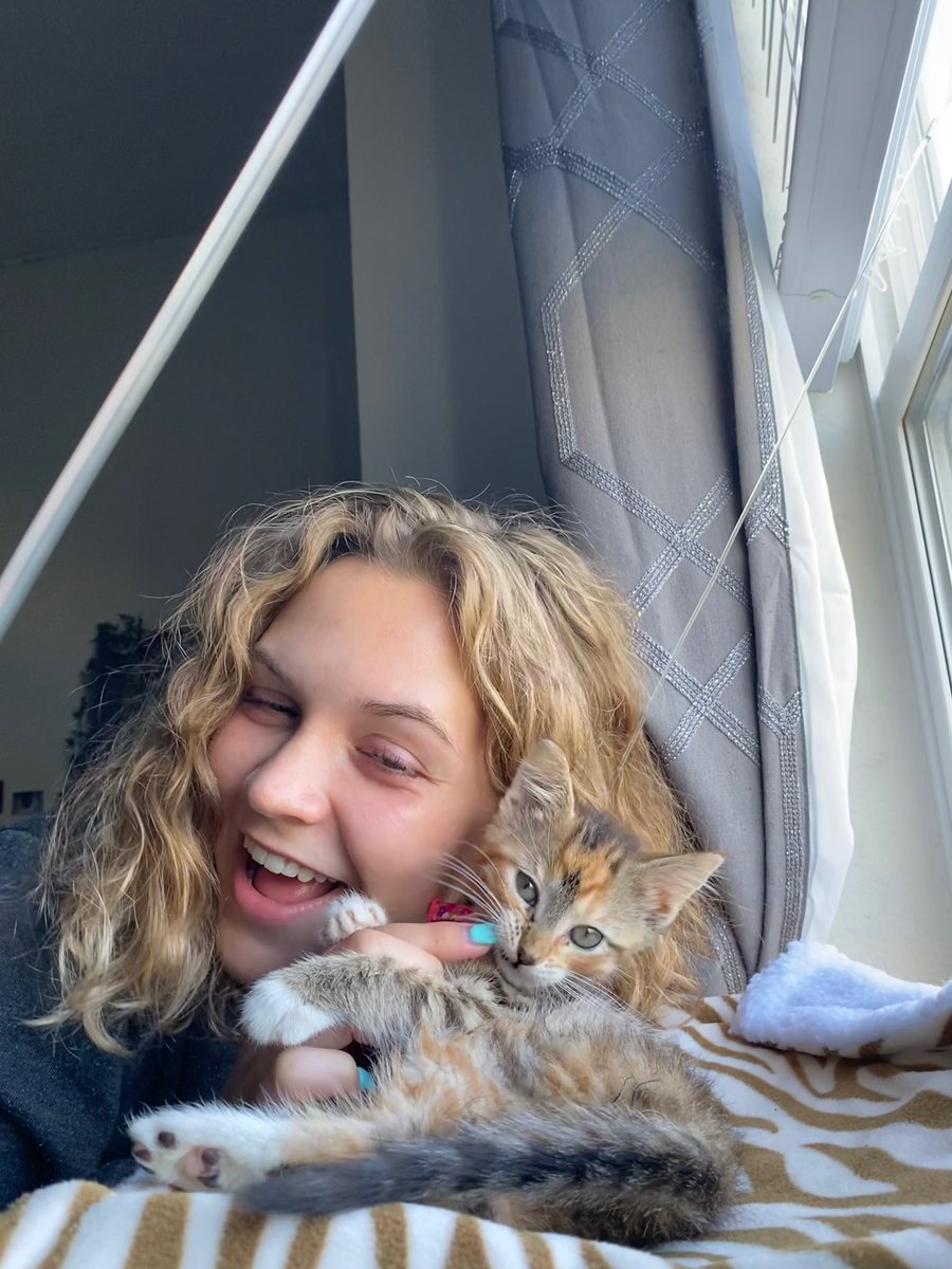 courtneyhack27's tweet photo. Meet Nala ✨🐾 https://t.co/bBKf9OpLGd