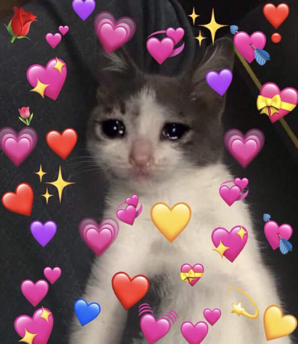 Картинки с котиками милыми с сердечками
