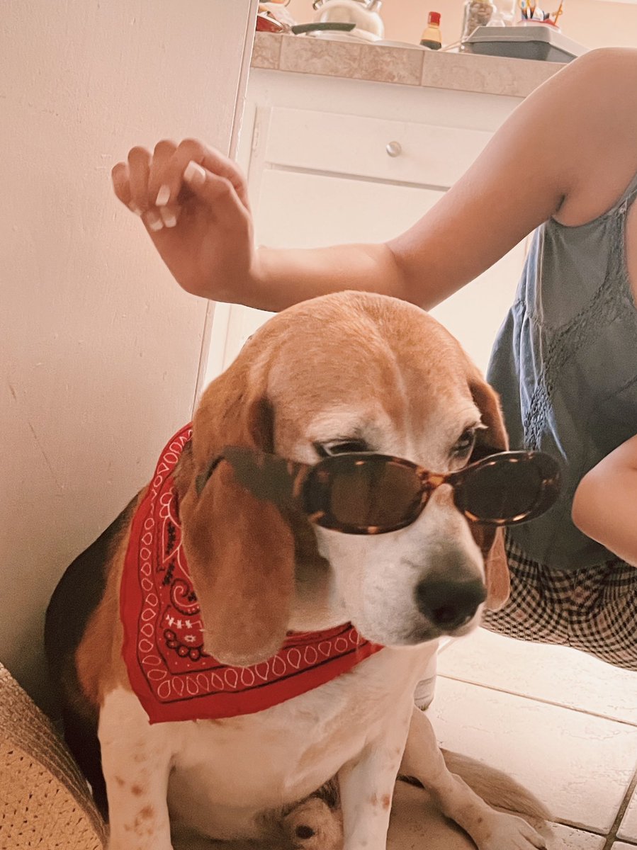 samescobed0's tweet photo. just me &amp; my bestie 🐶❤️ https://t.co/8A247buX6c