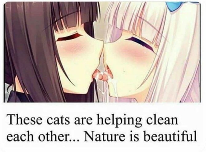 Your_Kiri's tweet photo. ━ i need a cat maid. https://t.co/BEWzrXwQdv