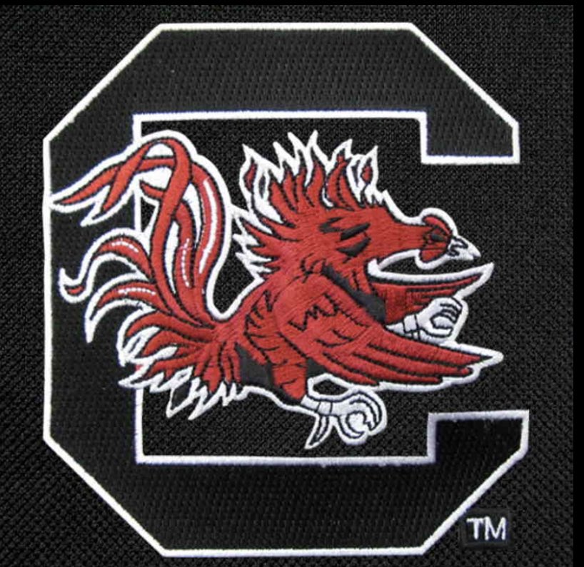 PringleKam's tweet photo. Extremely excited and blessed to receive an offer from the University of South Carolina!! #SPURSUP special thanks to @MoHard20 @CoachG_Adkins @ggpringle33 https://t.co/6sf6Nvyic4