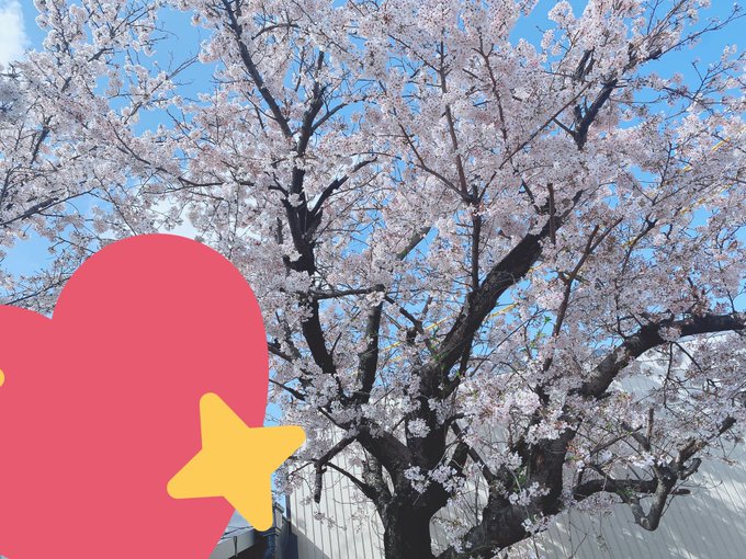 Twitterのコスプレ画像8