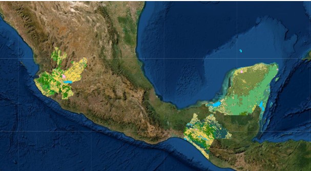 SEMARNAT_mx's tweet photo. #SomosMedioAmbiente
La @CONAFOR desarrolló el Sistema Satelital de Monitoreo Forestal #SAMOF con el propósito de contar con mapas con alta resolución espacial y temporal de cobertura del suelo.🗺️🌳🍃
Accede y descarga la información ▶️ https://t.co/DYXQVgsBon https://t.co/WOq70UQykk