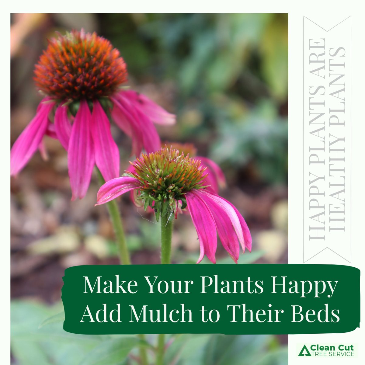 CleanCutTree's tweet image. Happy plants are healthy plants. Make your plants happy by adding some mulch to their beds. Call Clean Cut 1-847-265-0000 to schedule your mulch delivery or pick-up at our Grayslake or Hoffman Estate locations