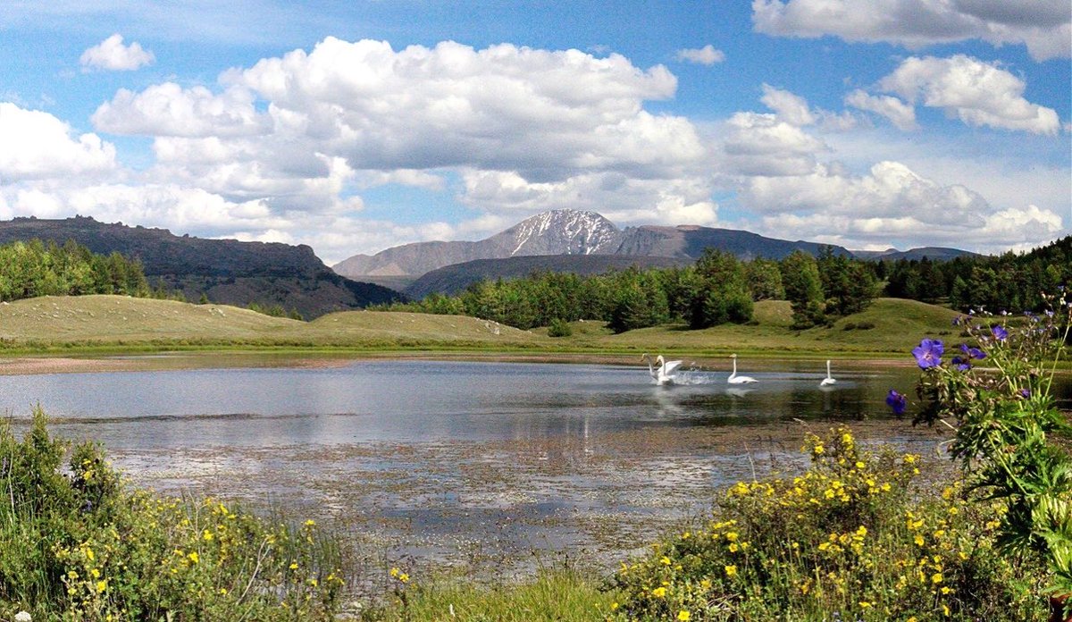 Мягмар гариг.
Сайхан өглөөний мэнд ээ.
Өдөр бүр амжилтаар дүүрэн байг ээ #ЖИРГЭЭЧИД_ЭЭ