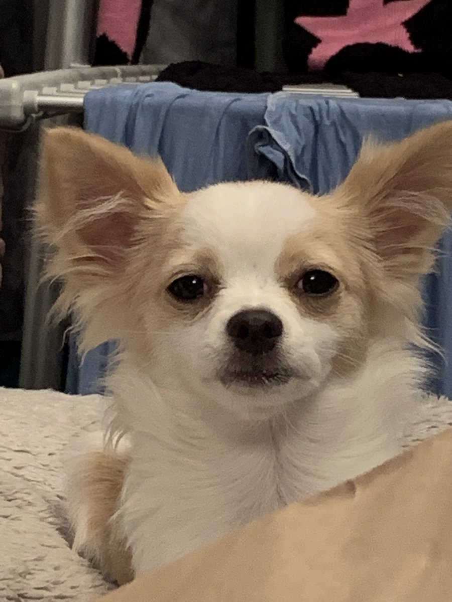 katequicky's tweet photo. Goodnight https://t.co/ayz0CdRtp7
