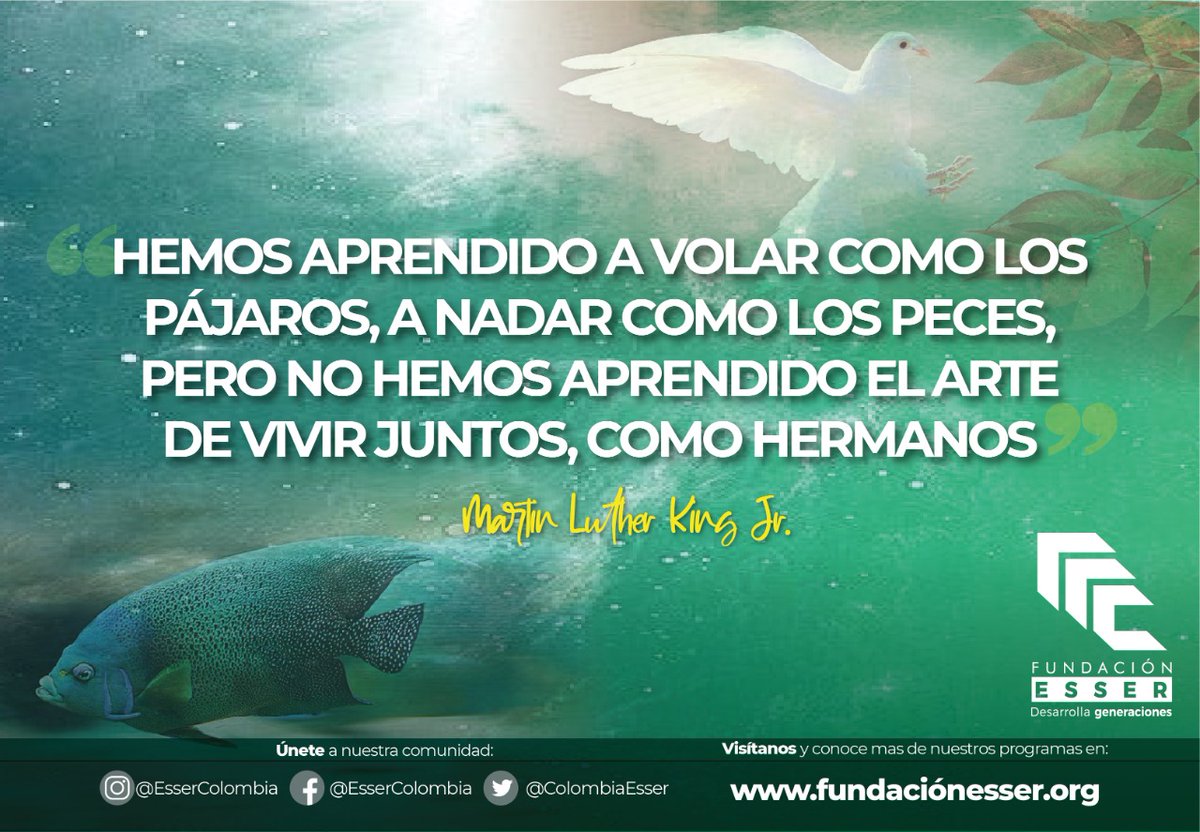 ColombiaEsser's tweet photo. Somos ESSER
Instagram y Facebook @EsserColombia
Twitter @ColombiaEsser
#essersomostodos #comunidadesser #juntosenesto #FundacionEsser #esperanza #solidaridad
#familiasaafectadas #donaciones #voluntariosapasionados #nuevasgeneraciones #ayudanosaayudar #causasocial #fundacion https://t.co/RCCD7sRy99