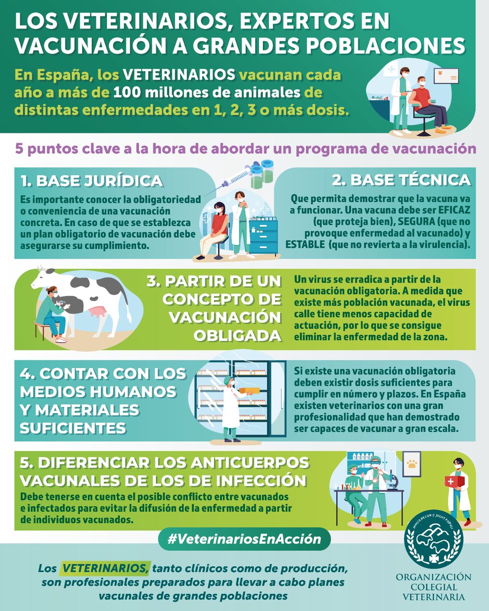 ColVetValladoli's tweet photo. Los #veterinarios españoles vacunan cada año 100 millones de #animales, tanto de compañía como de producción, de distintas enfermedades en 1, 2, 3 o más dosis. Somos la profesión especializada en la inmunización de grandes poblaciones. Esta infografía explica los puntos básicos. https://t.co/XllV240xjH
