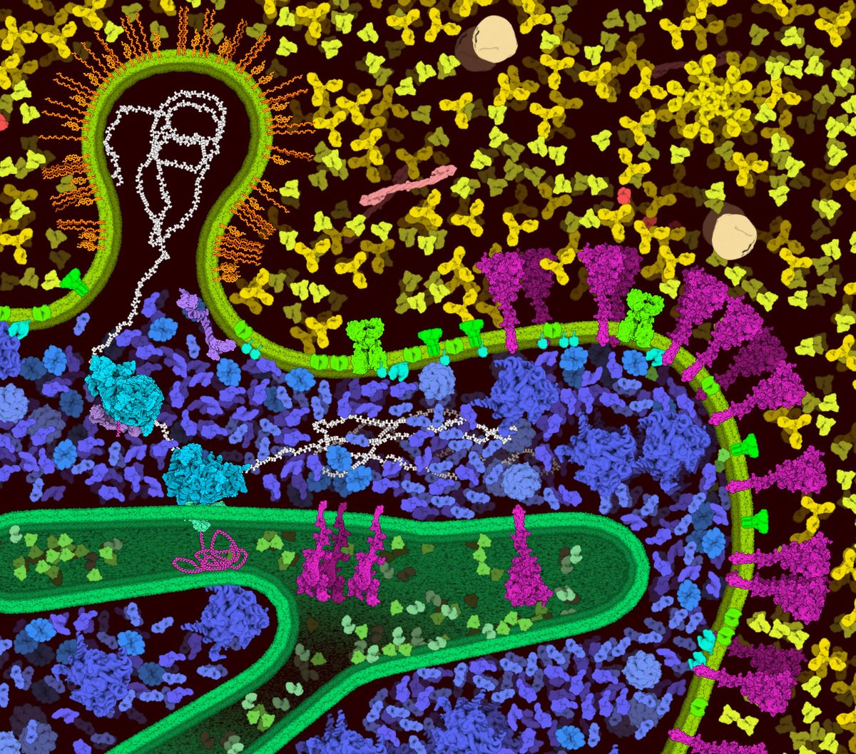 dsgoodsell's tweet photo. I got my first jab of the mRNA vaccine this afternoon--so happy about that. To celebrate, here's a little preview of a new version of cellPAINT for drawing vaccine-related scenes. We'll be launching a new contest @buildmodels later this week with it--stay tuned for more info! https://t.co/j3MBKarrKi