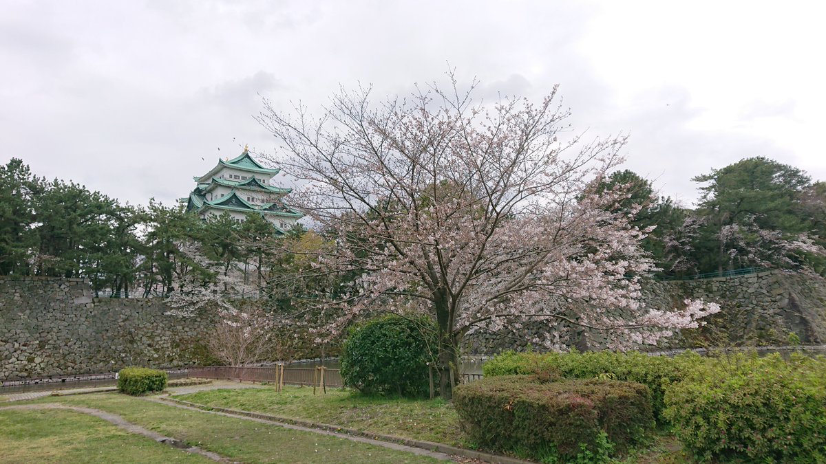 Colorer クロレ 和歌山県岩出市 S Tweet おはようございます 今日も晴れ ですが 黄砂でモヤモヤです 今日も感染対策をして皆さまをお待ちしておりまーす 企業公式が毎朝地元の天気を言い合う Colorer 和歌山 写真好きな人と繋がりたい ネガ現像 銀