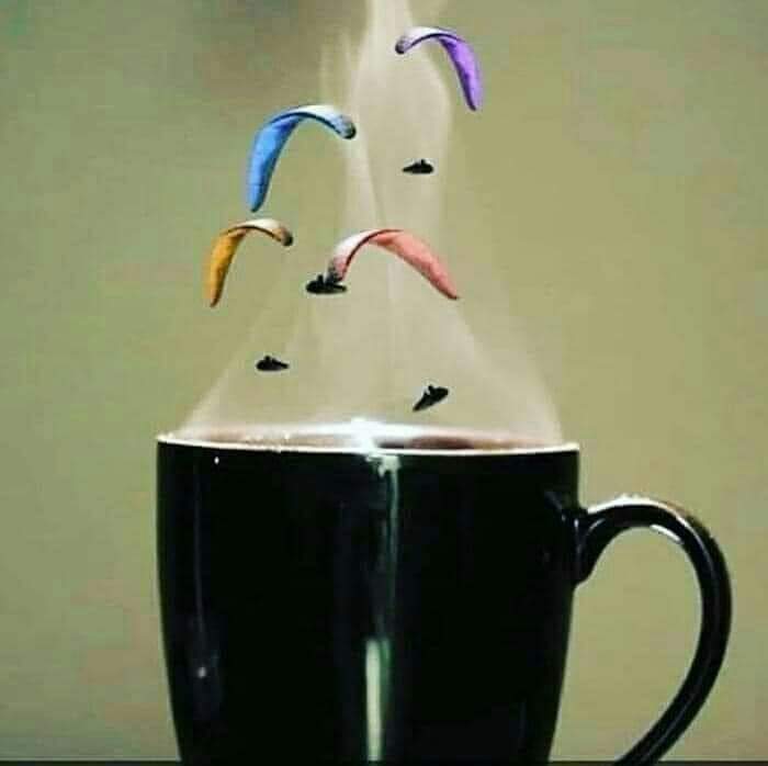 Ciudad Extrema (@ciudadextremave) on Twitter photo 