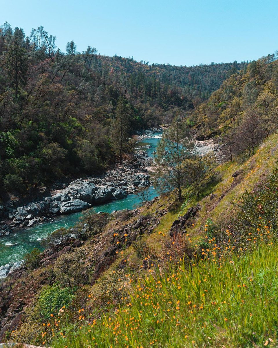 Visit California tweet media