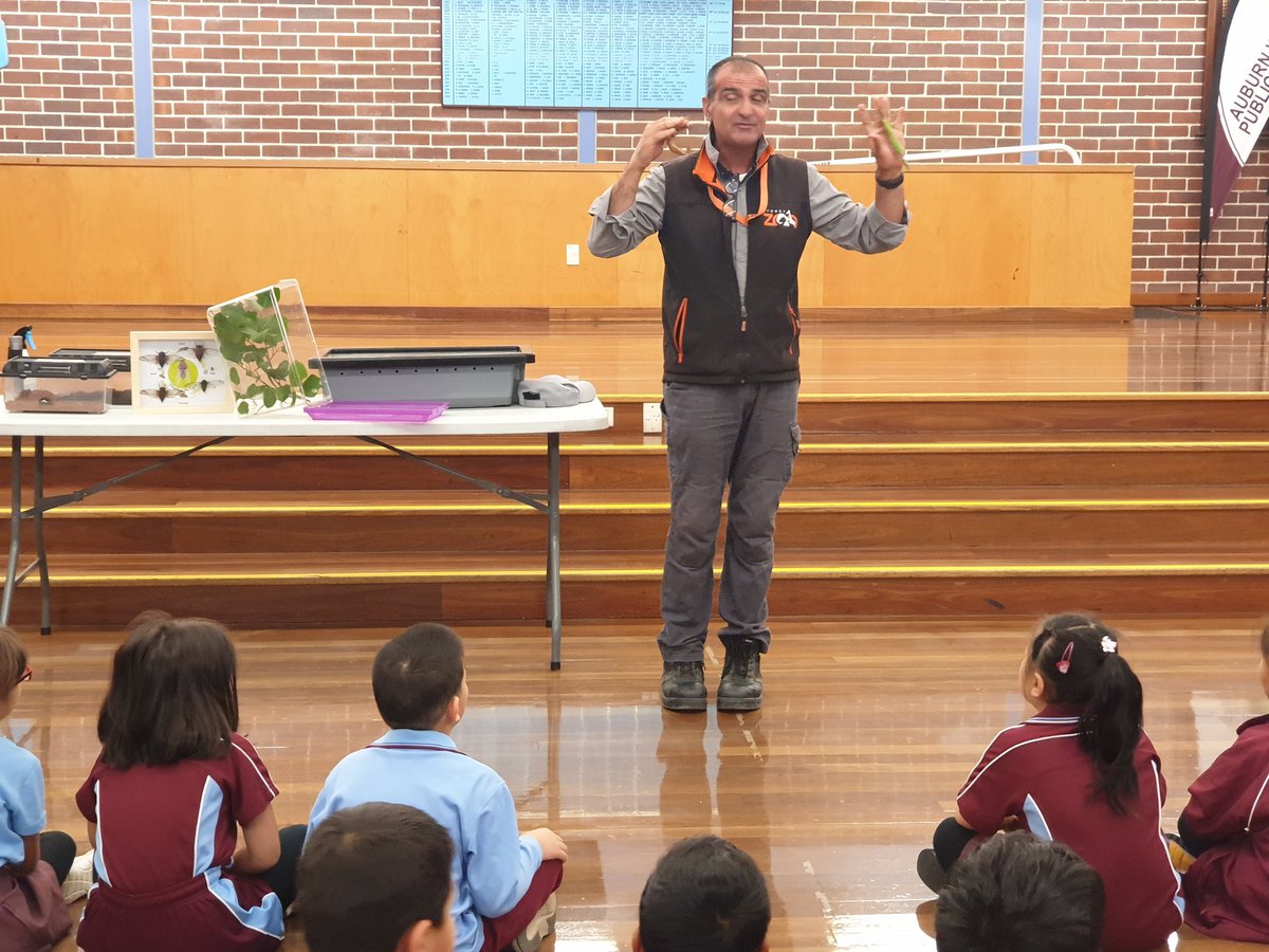 missrly's tweet photo. Thanks @TheSydneyZoo for a real life experience to help us learn more about the external features of insects and reptiles. @AuburnWestPS https://t.co/dbE6SMkJCU