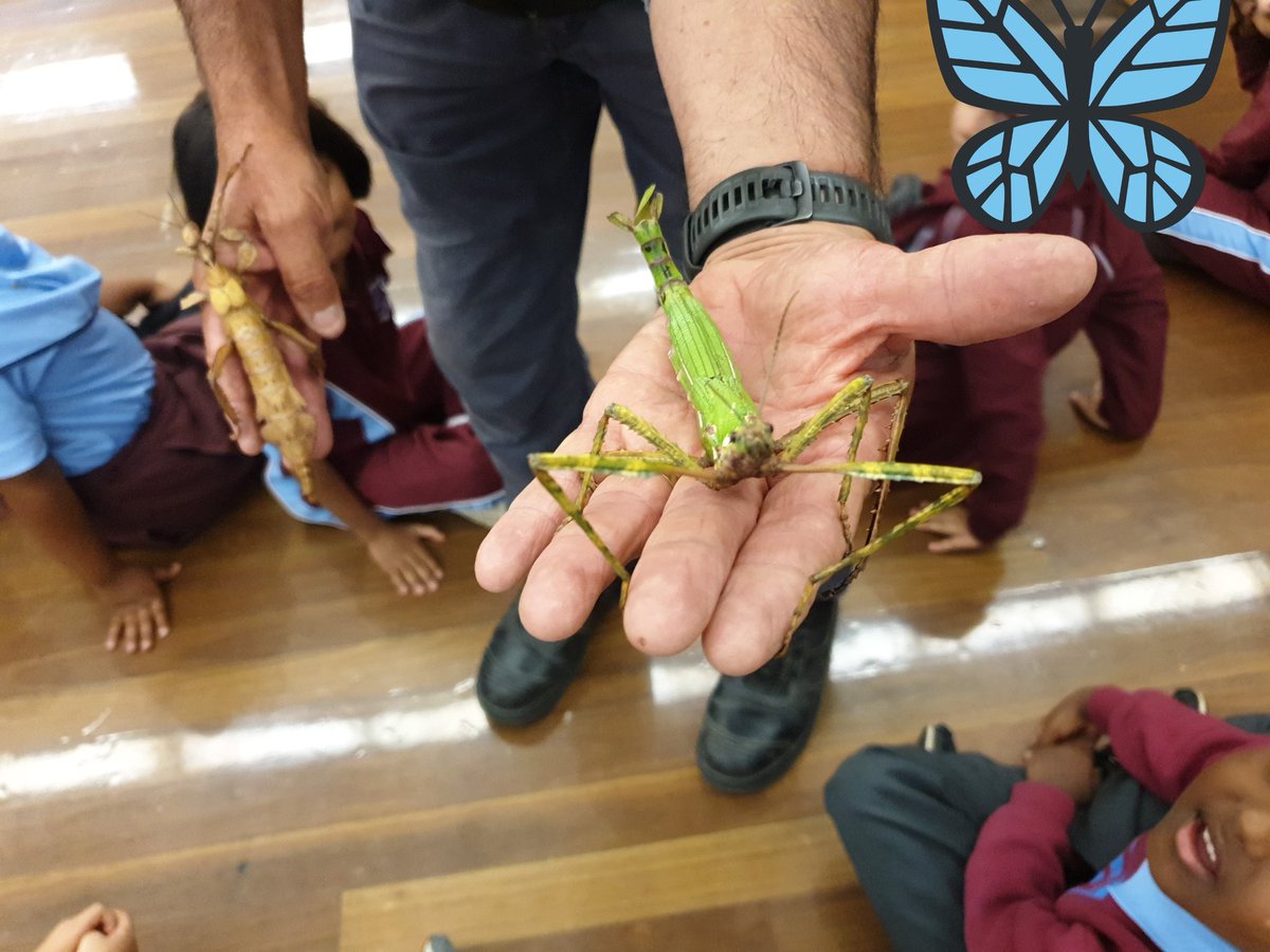 missrly's tweet photo. Thanks @TheSydneyZoo for a real life experience to help us learn more about the external features of insects and reptiles. @AuburnWestPS https://t.co/dbE6SMkJCU