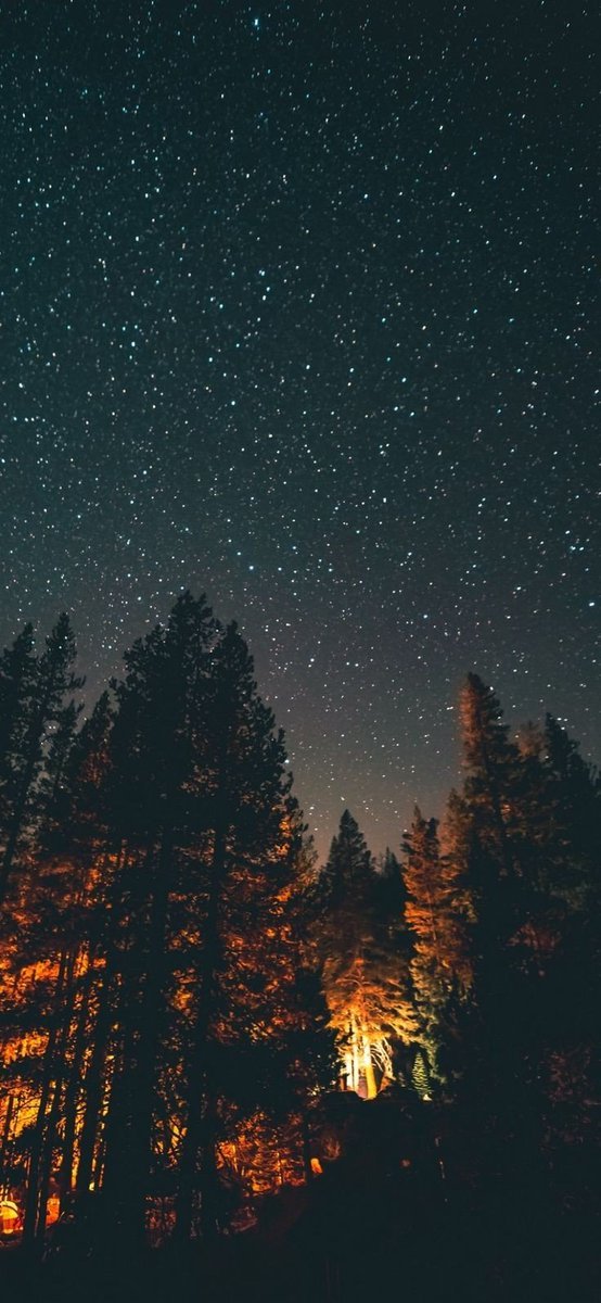 Archillct's tweet image. 