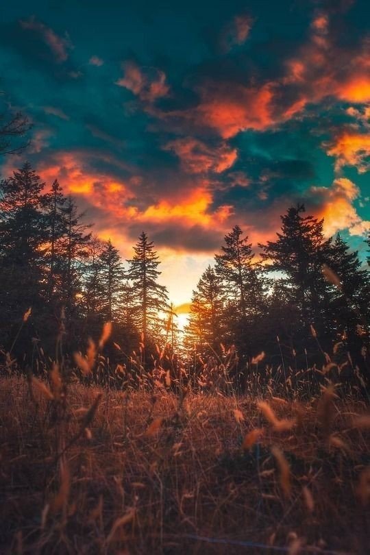 Archillct's tweet image. 