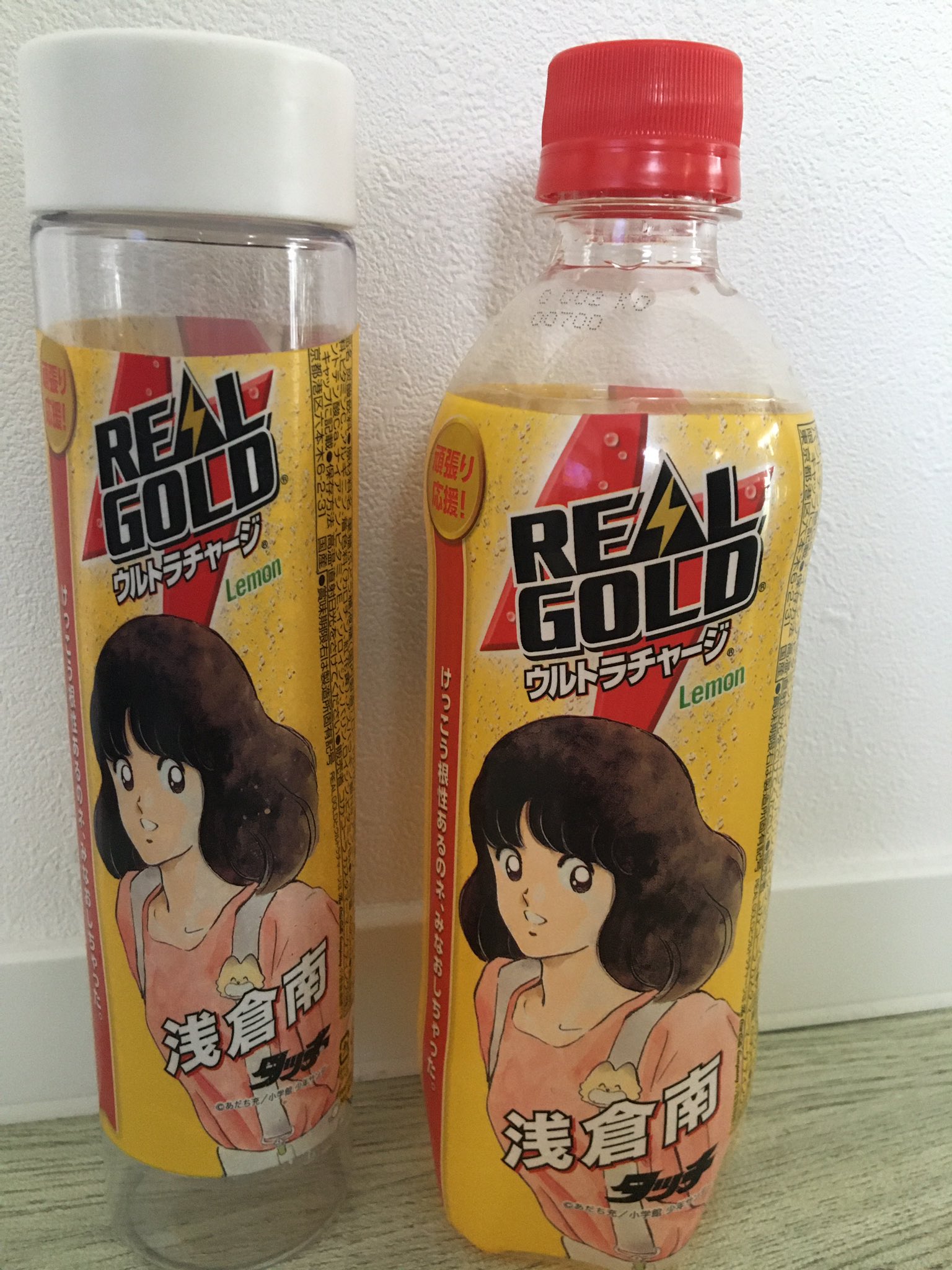 ペットボトルリメイク Twitter Search Twitter