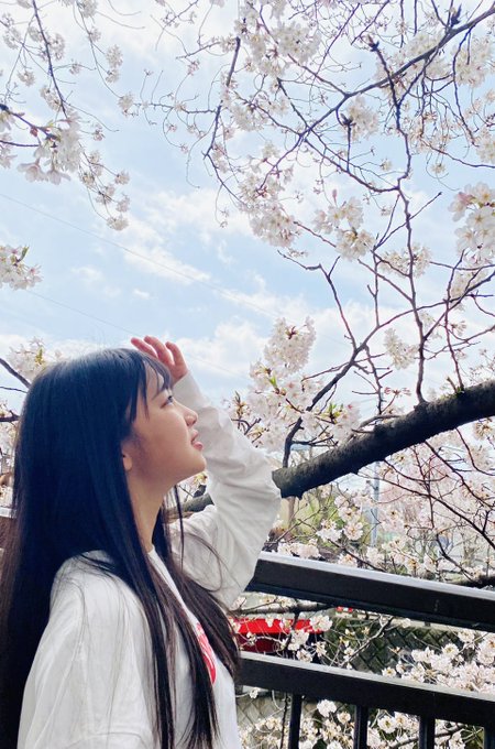 Twitterのコスプレ画像9