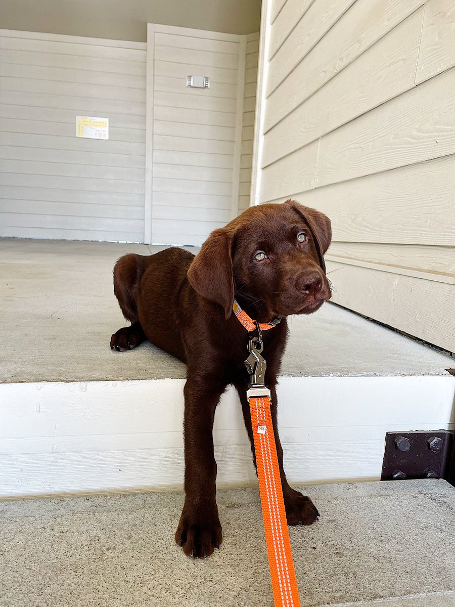 ryleeah's tweet photo. so handsome 🤎🧡 https://t.co/6xnmRvqOce