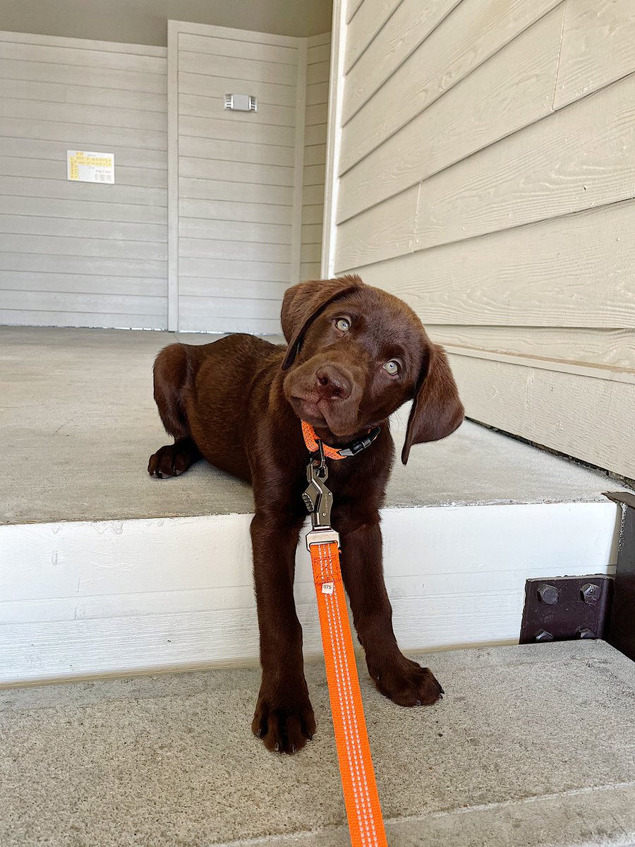 ryleeah's tweet photo. so handsome 🤎🧡 https://t.co/6xnmRvqOce