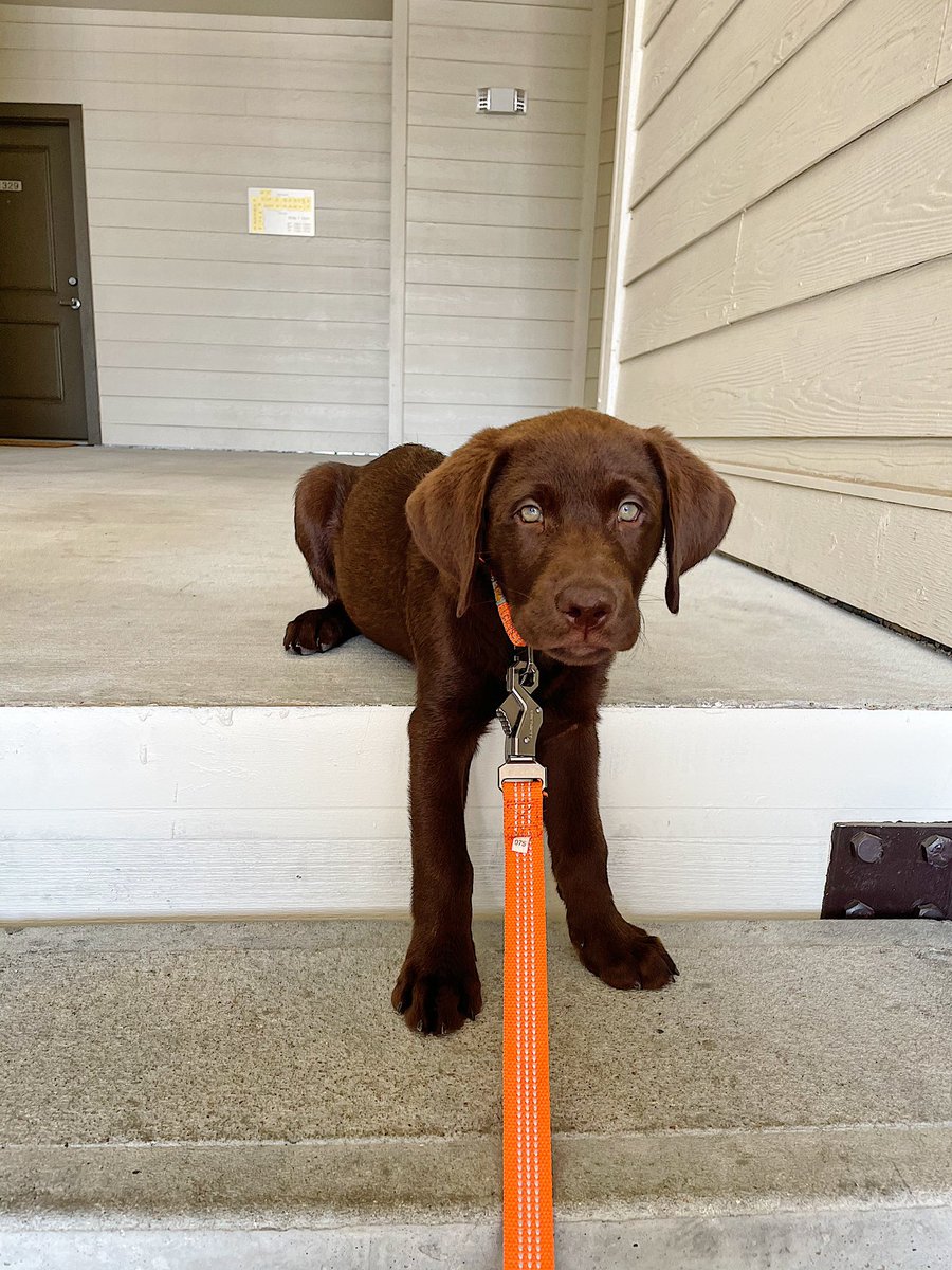 ryleeah's tweet photo. so handsome 🤎🧡 https://t.co/6xnmRvqOce