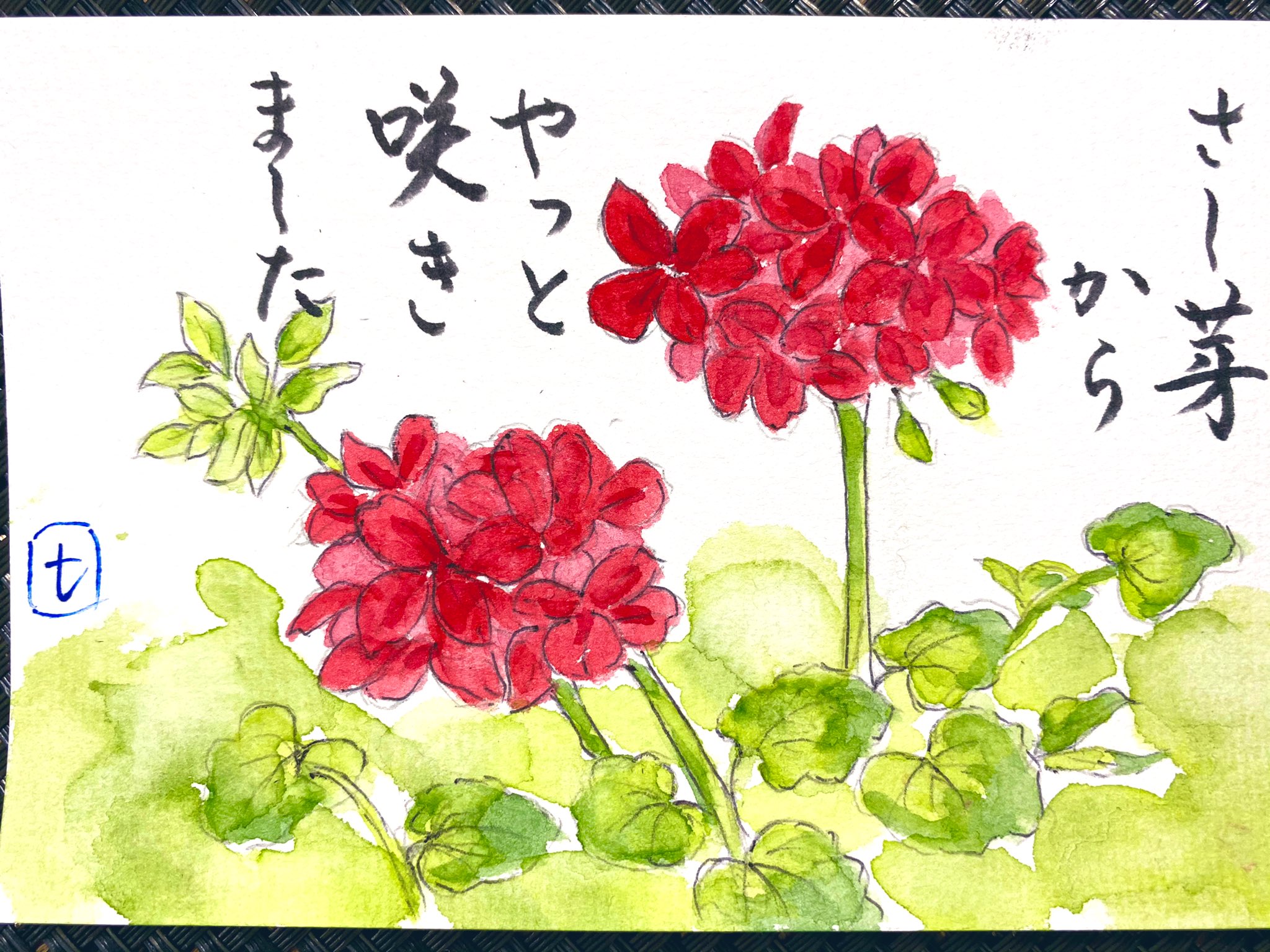 Toko 冬があり 夏があり 昼と夜があり 晴れた日と 雨の日があって ひとつの花が咲く様に 悲しみも 苦しみもあって 私が私になってゆく 星野富弘 快適絵手紙 T Co D2uxxvemu0 Twitter