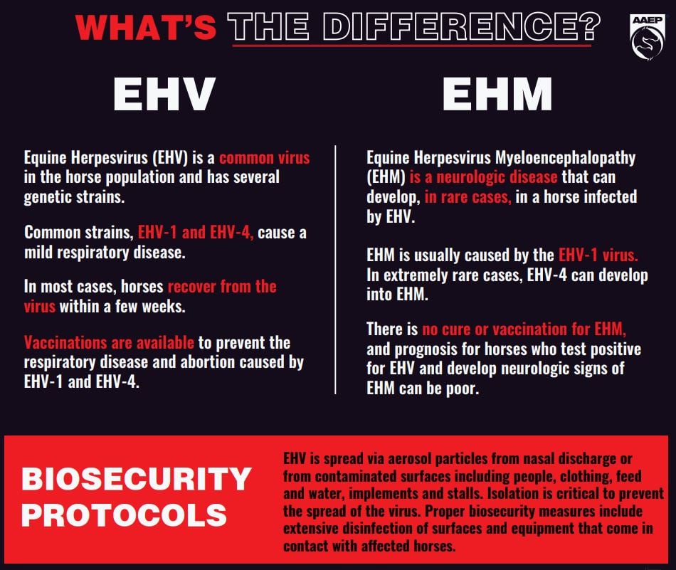 dac_and's tweet photo. With all the talk about EHV outbreaks across the US do you know the difference between EHV and EHM? https://t.co/uWXpq8cop6