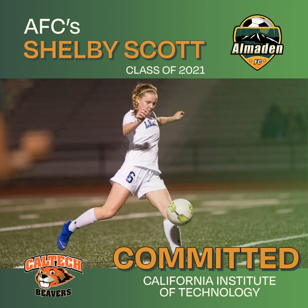 Almaden Soccer tweet media