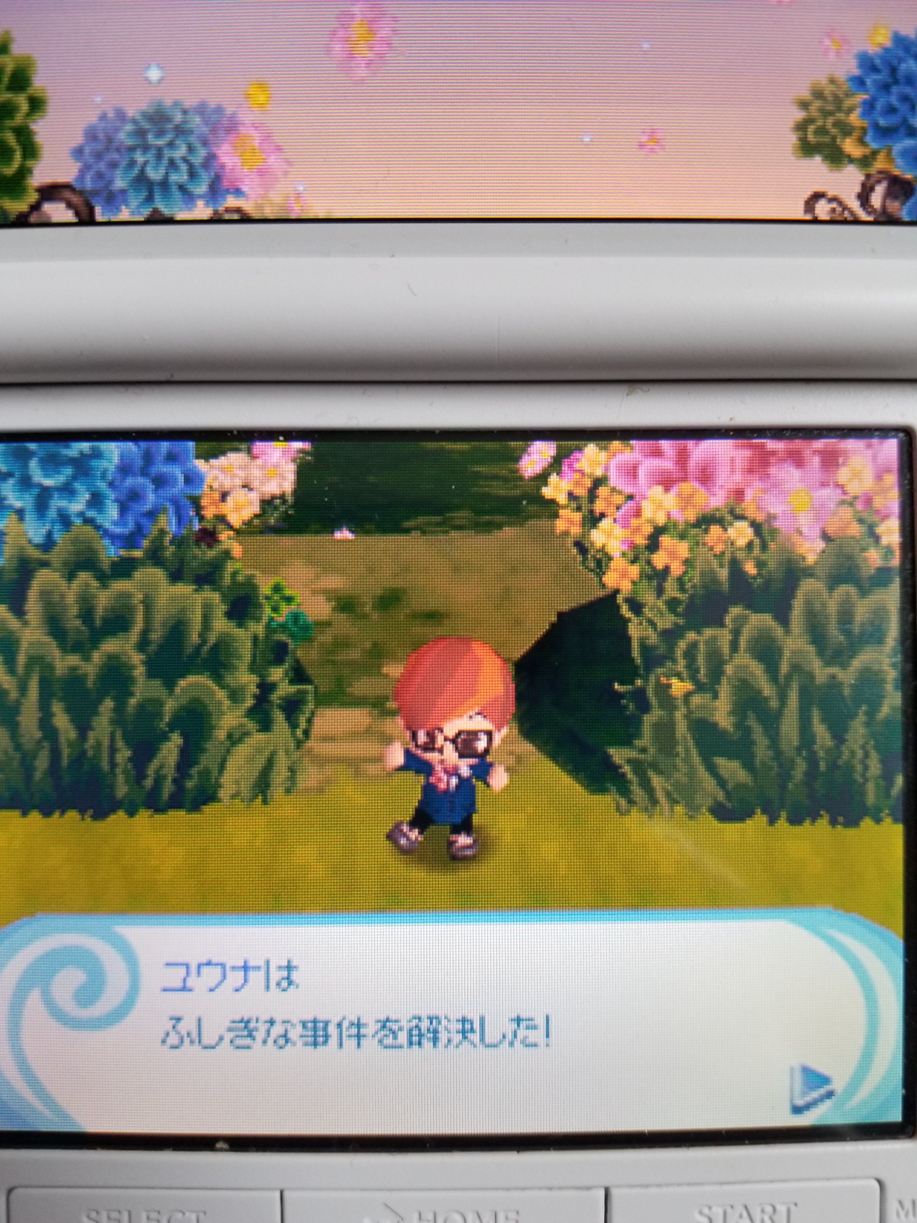 ミランダ チェンバレン Mystery Complete とんがりボウシと魔法の365にち とんがりボウシと魔法のお店 とんがりボウシとおしゃれな魔法使い とんがりボウシと魔法の町 Magiciansquestmysterioustimes Enchantedfolkandtheschoolofwizardry T