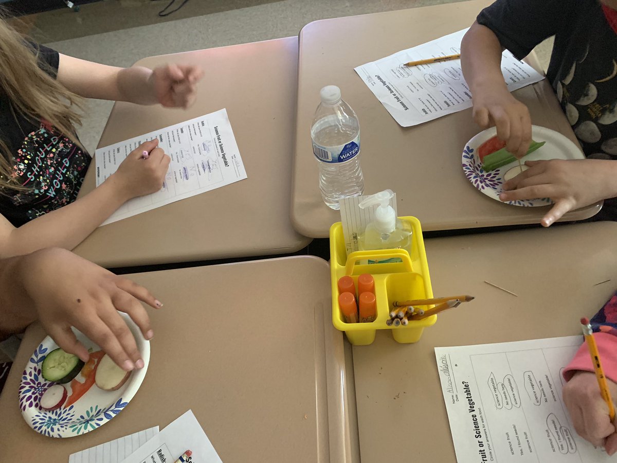 Room 205 3rd Grade tweet media