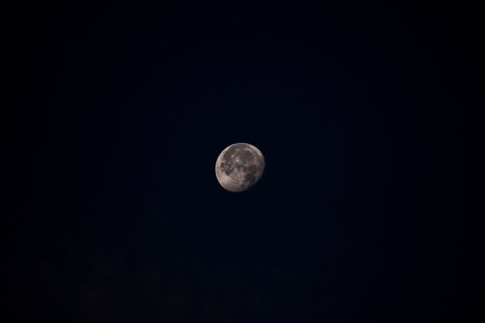 I'm also pretty good at taking non lewd pics too ig https://t.co/Vm2q7zKbI0<a href="/tag/lingerie"class="tags"><span>#lingerie</span></a><a href="/tag/love"class="tags"><span>#love</span></a><a href="/tag/model"class="tags"><span>#model</span></a><a href="/tag/photography"class="tags"><span>#photography</span></a><a href="/tag/transgender"class="tags"><span>#transgender</span></a>