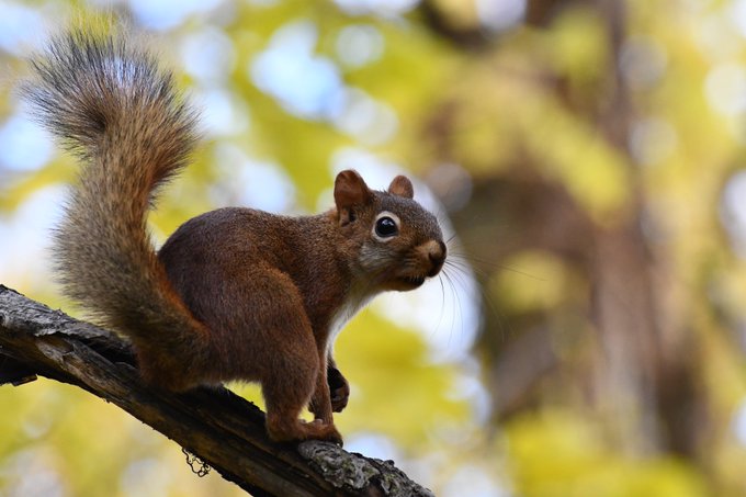 I'm also pretty good at taking non lewd pics too ig https://t.co/Vm2q7zKbI0<a href="/tag/lingerie"class="tags"><span>#lingerie</span></a><a href="/tag/love"class="tags"><span>#love</span></a><a href="/tag/model"class="tags"><span>#model</span></a><a href="/tag/photography"class="tags"><span>#photography</span></a><a href="/tag/transgender"class="tags"><span>#transgender</span></a>