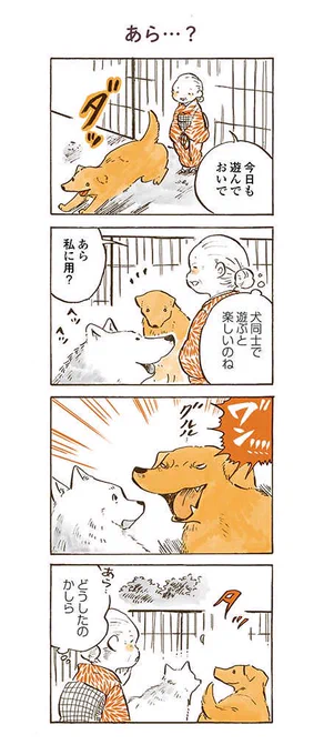大きな白いワンコも大好きです(私が)

#姫ばあちゃんとナイト 