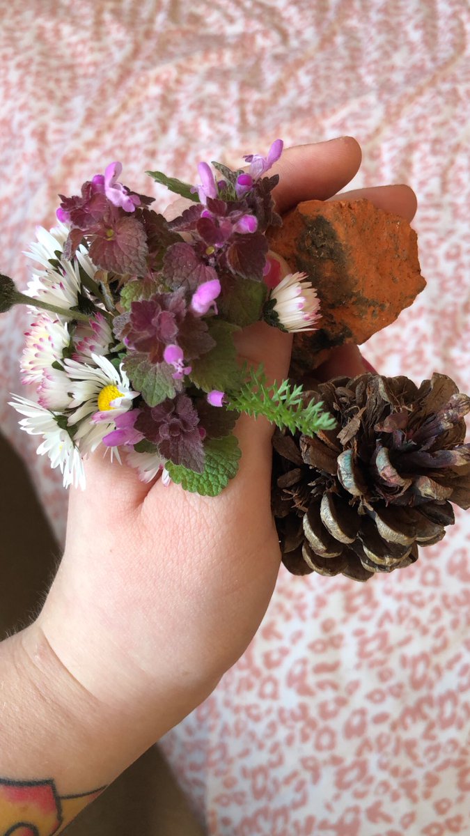 freshdandelions's tweet photo. went on a lil walk earlier in the sun, picked some flowers for my altar and found a nice rock+ pine cone :) https://t.co/a109RTHjId
