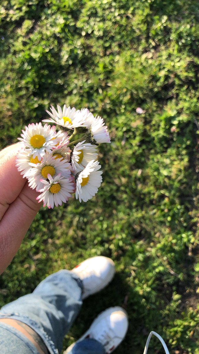 freshdandelions's tweet photo. went on a lil walk earlier in the sun, picked some flowers for my altar and found a nice rock+ pine cone :) https://t.co/a109RTHjId