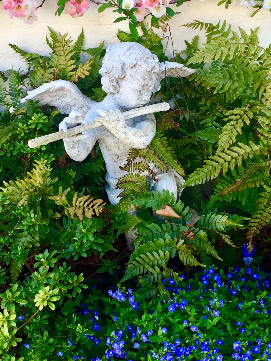 HobanGirl's tweet photo. A little madness in the Spring
Is wholesome even for the King...
— Emily Dickinson
#FairfaxStreet #CameronStreet #OldTown #Alexandria https://t.co/JuM7C8zcY2