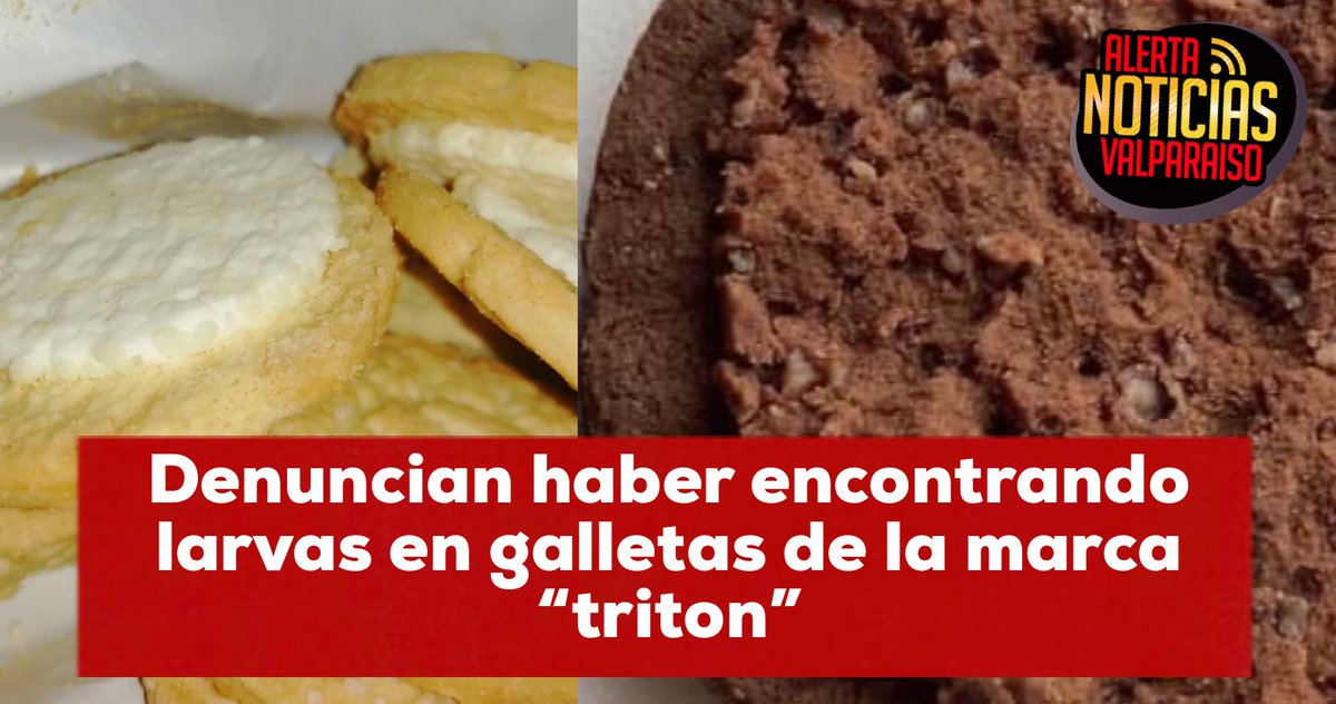 AlertaNoticiasV's tweet photo. [ALERTA]
Varios son los testimonios que en las últimas horas han sido expuestos a través de las redes sociales en el cual personas de distintos lugares de la región de Valparaíso denuncian haber encontrado larvas al interior de galletas “triton” https://t.co/fvs8asM6yY