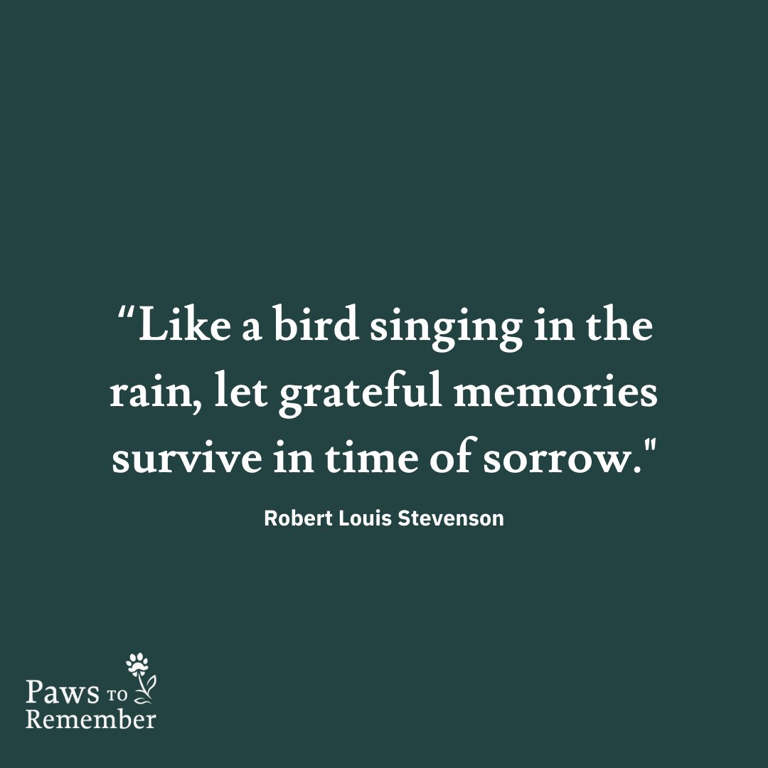 pawstoremember's tweet photo. Fond memories of our pets can be great healers as we grieve their loss.❤️🐾 https://t.co/MbObv4gW2R