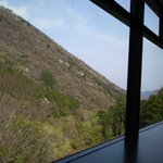 ツイートに含まれる画像