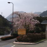 ツイートに含まれる画像