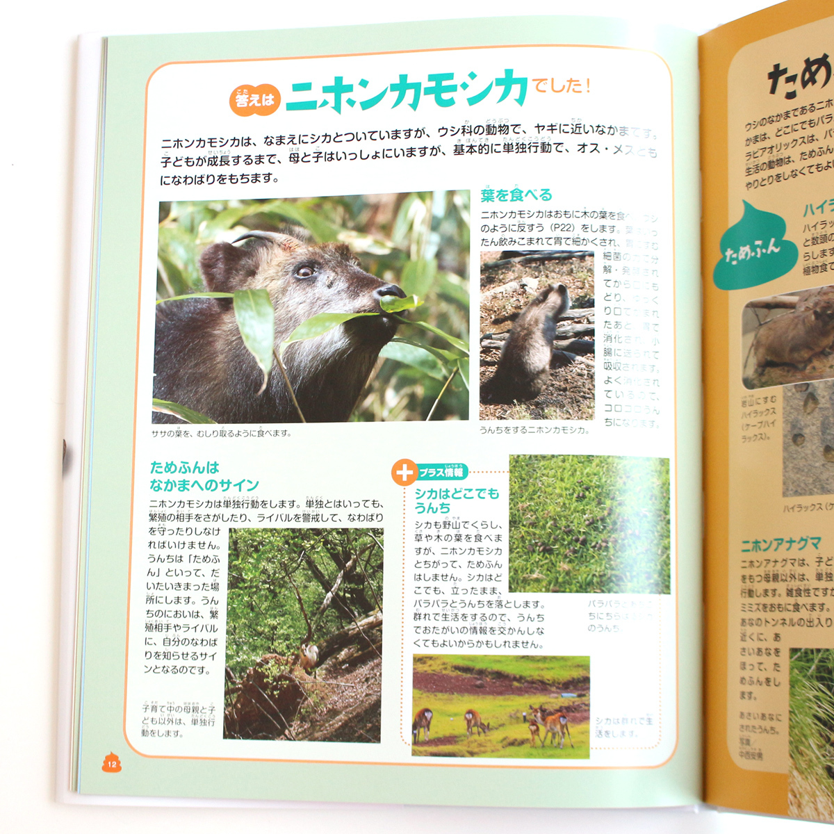 ট ইট র 偕成社 本日発売 だれのうんち うんちでわかる動物のひみつ 動物のうんち を見て なんの動物のものかを当てるクイズの本 うんちの写真は 元上野動物園園長の小宮輝之さんが 40年におよぶ動物飼育の経験のあいだにこつこつ撮影したもの