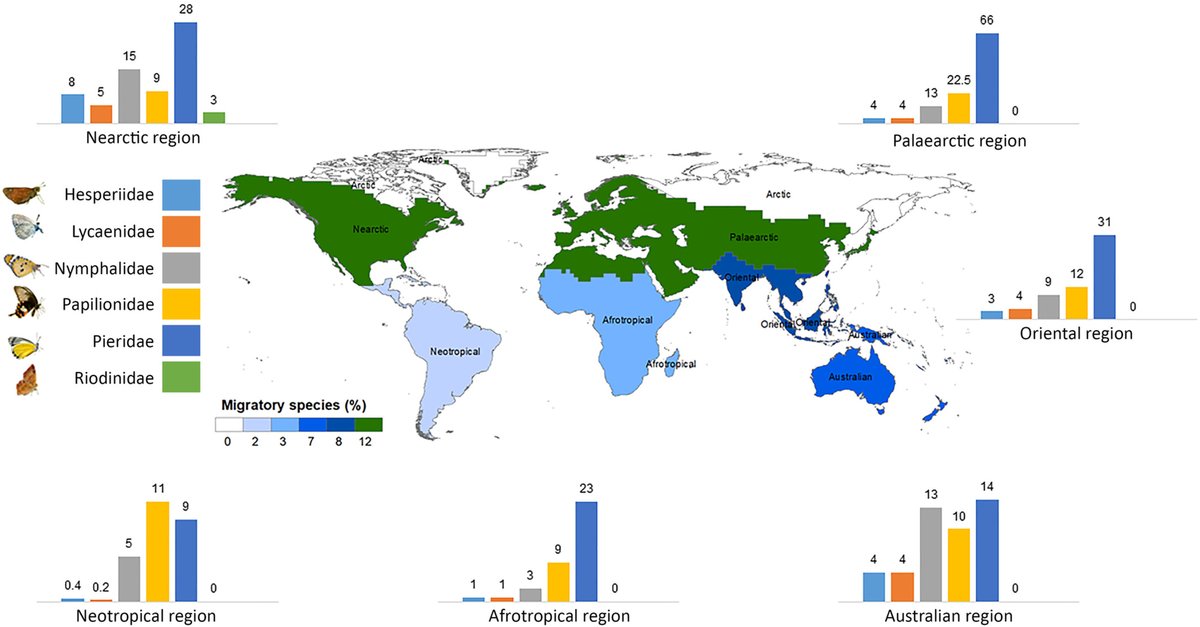 Shawan Chowdhury (শাওন চৌধুরী) (@shawan_c) on Twitter photo Our new Biological Reviews paper is now online. We show that nearly 600 #butterfly species show evidence of #migratory #movements. (1/6) <a href="/j_chapman2/">Jason Chapman</a> <a href="/animaltracking/">Migration Dept., Max Planck Inst. Animal Behavior</a> <a href="/MigGenomics/">The Genetics of Migration Lab</a> <a href="/b_migration/">Butterfly Migration</a> <a href="/insectmigration/">Insect Migration</a> doi.org/10.1111/brv.12… Our new Biological Reviews paper is now online. We show that nearly 600 #butterfly species show evidence of #migratory #movements. (1/6) <a href="/j_chapman2/">Jason Chapman</a> <a href="/animaltracking/">Migration Dept., Max Planck Inst. Animal Behavior</a> <a href="/MigGenomics/">The Genetics of Migration Lab</a> <a href="/b_migration/">Butterfly Migration</a> <a href="/insectmigration/">Insect Migration</a> doi.org/10.1111/brv.12…